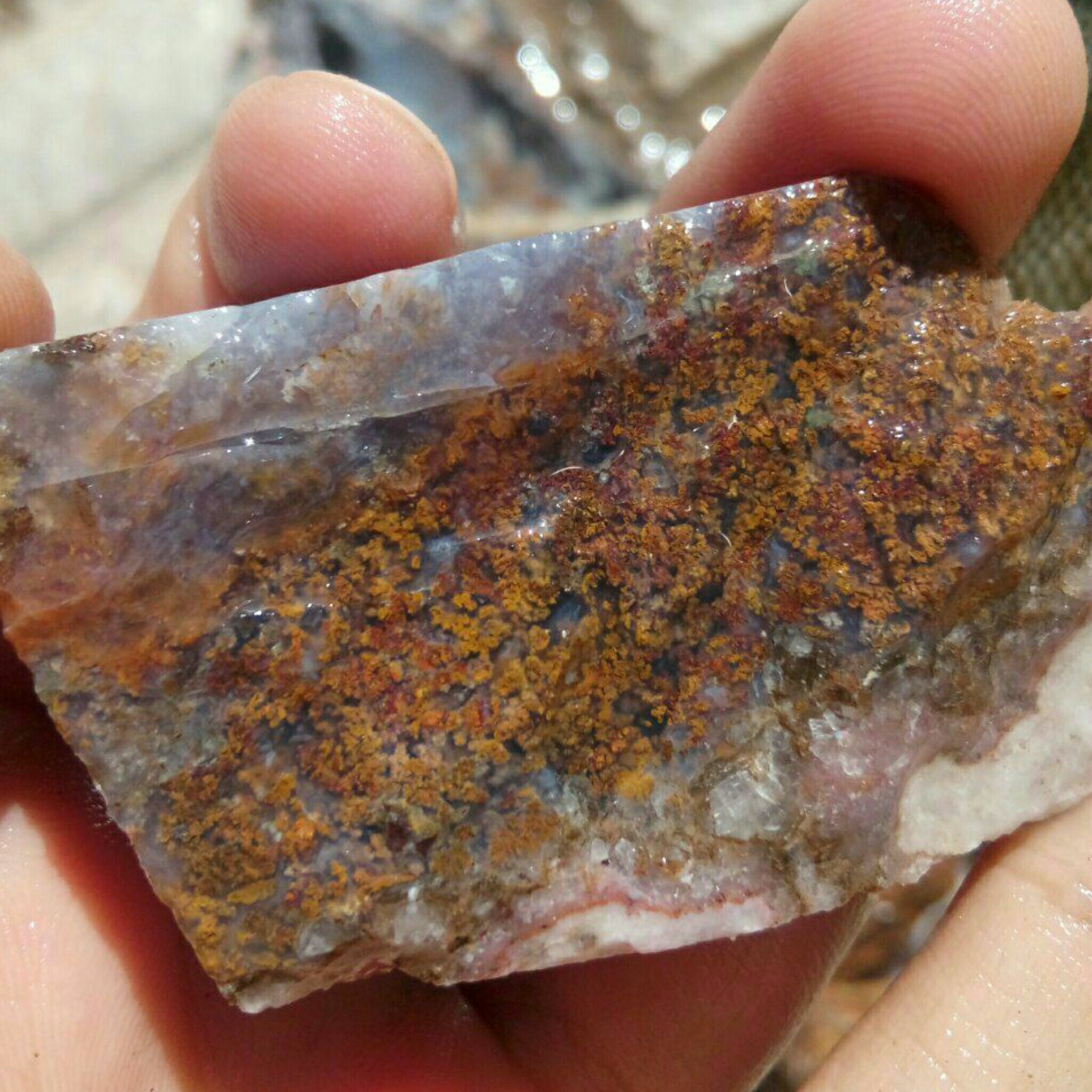 راف بسیار دیدنی شجر منظره مختص تراش نگین های بسیار زیبا و کلکسیون