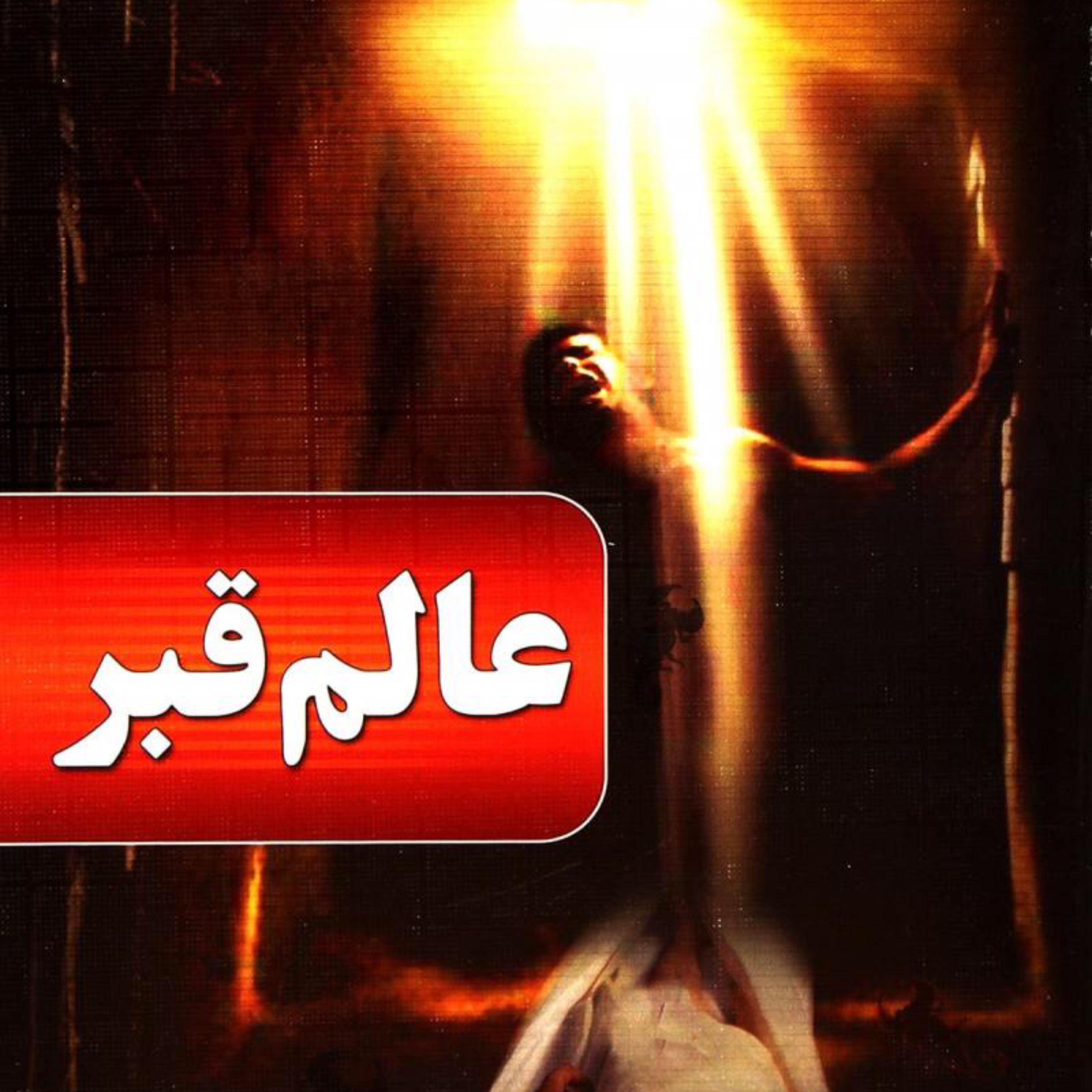 عالم قبر