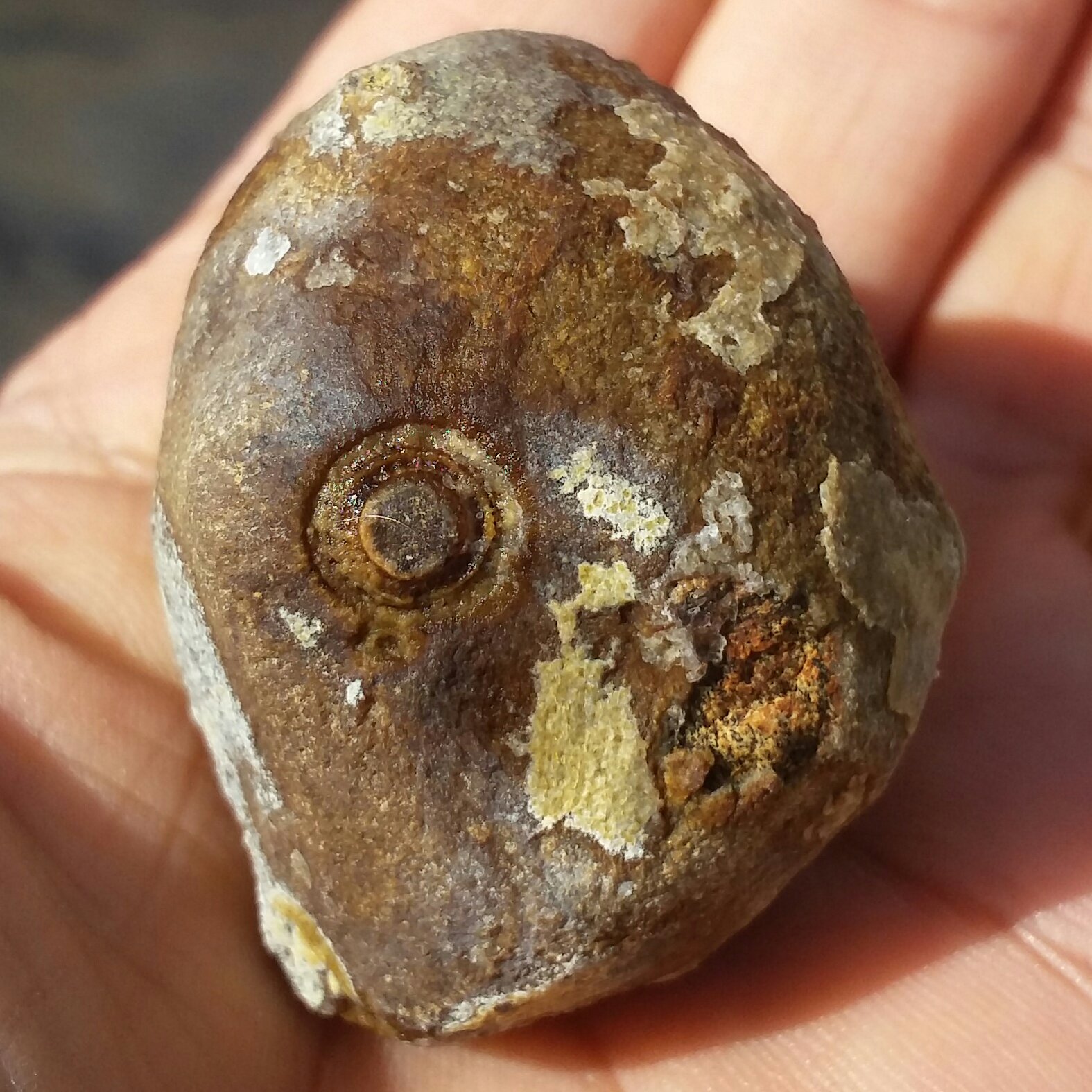 سنگ راف درشت عقیق باباقوری قدمت دار کهنه موکول دار  بسیار قوی خارق العاده شاهکار خلقت 100 در 100 طبیعی بی نظیر
کد 8966