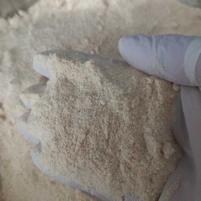 پودر پیاز .100 گرم