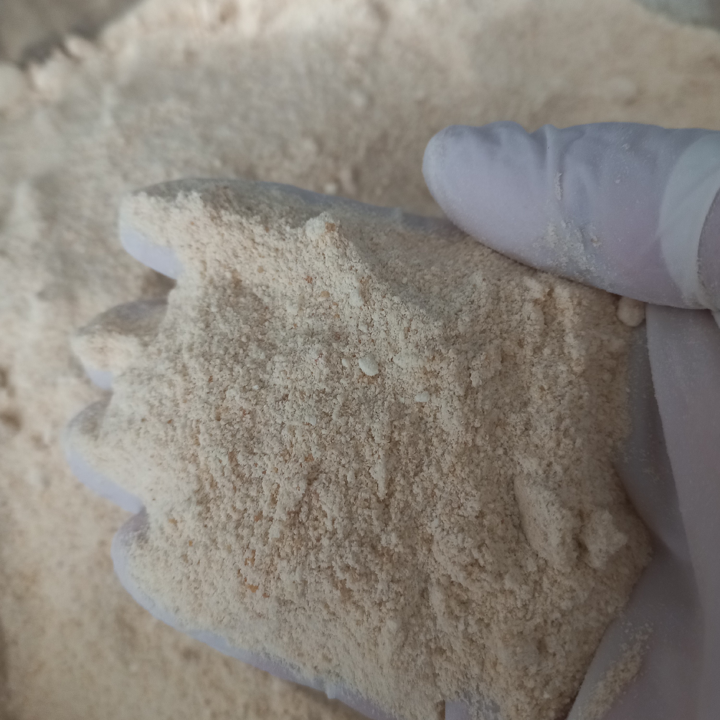 پودر پیاز .100 گرم