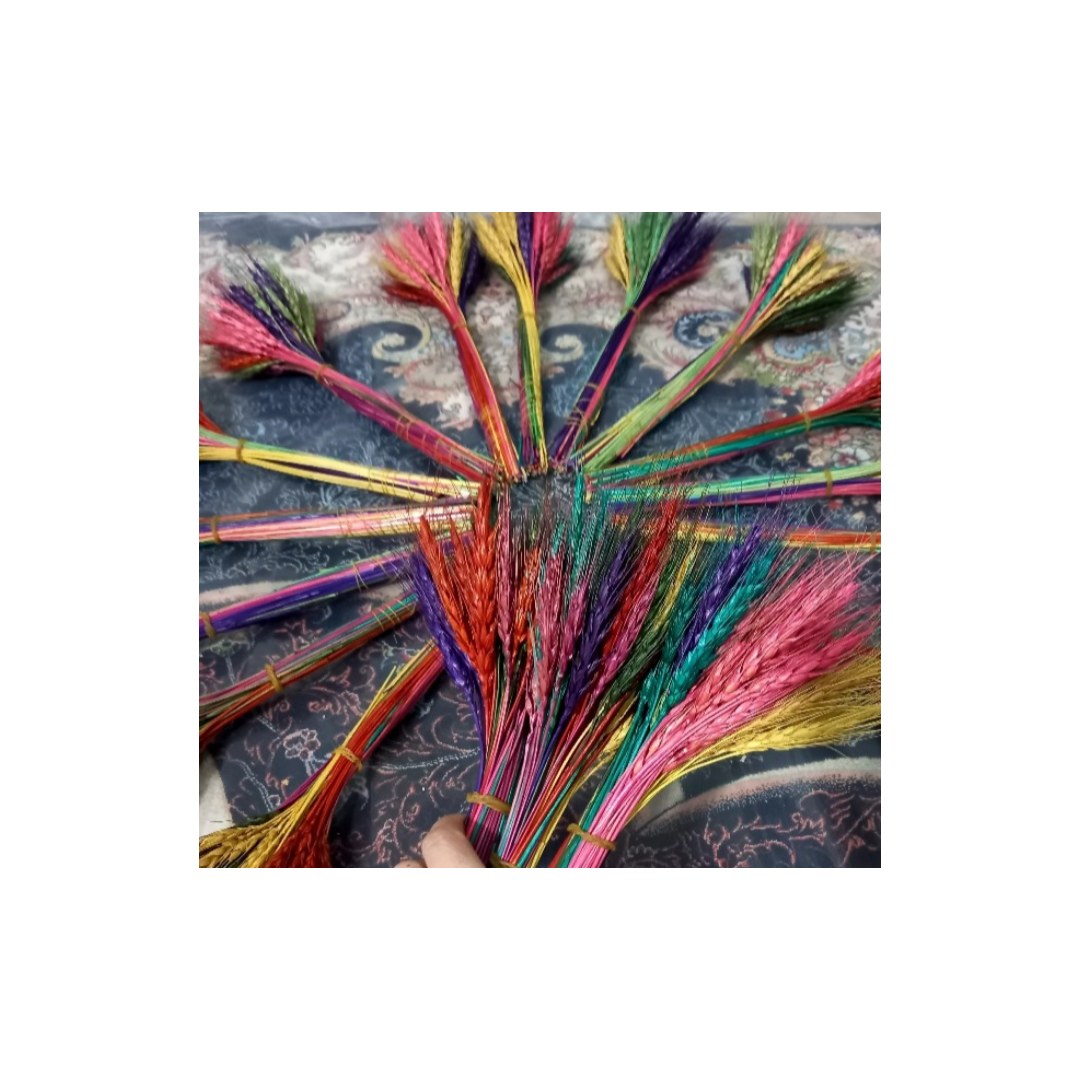 گندم رنگ شده شب عید 