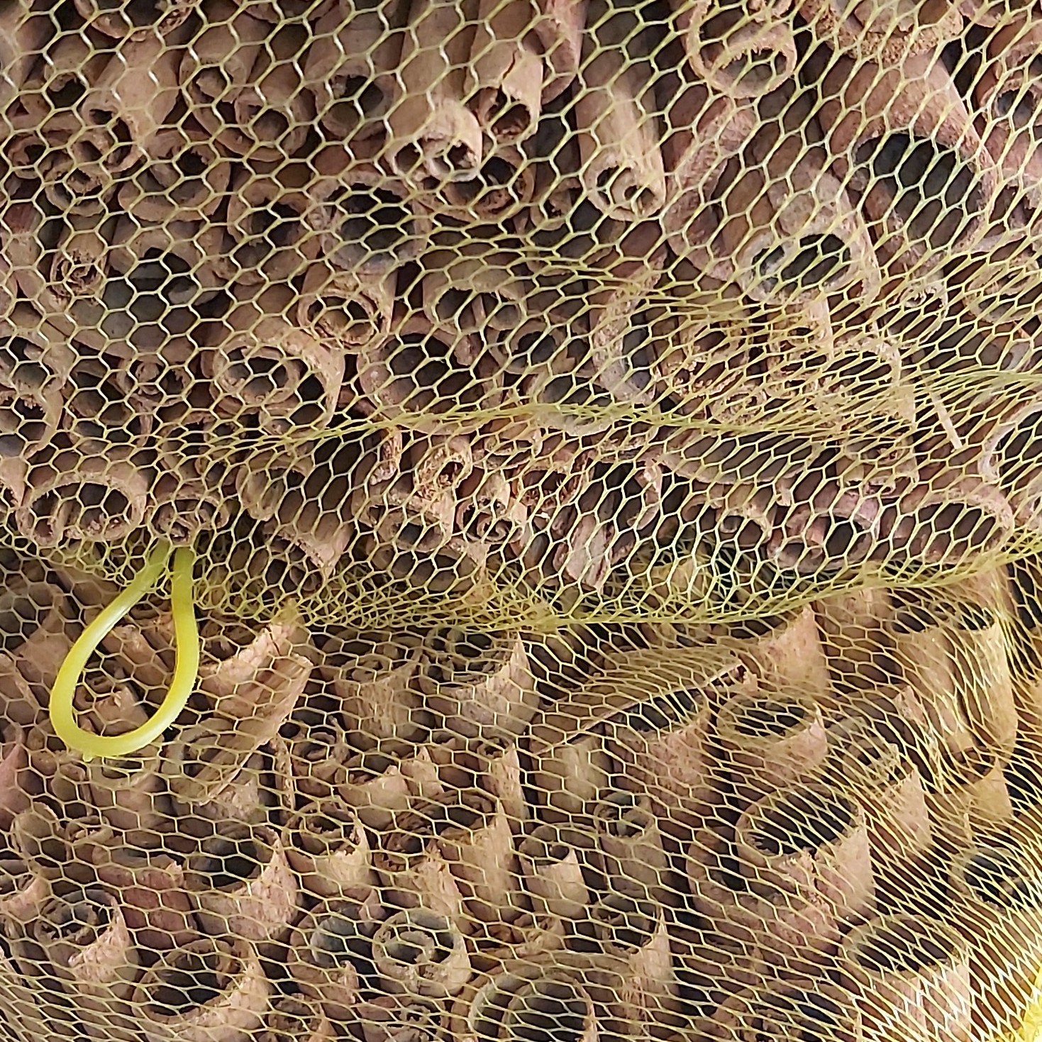 دارچین سیگاری ویتنام 