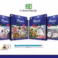 مداد رنگی 24 رنگ مقوایی Padilot
