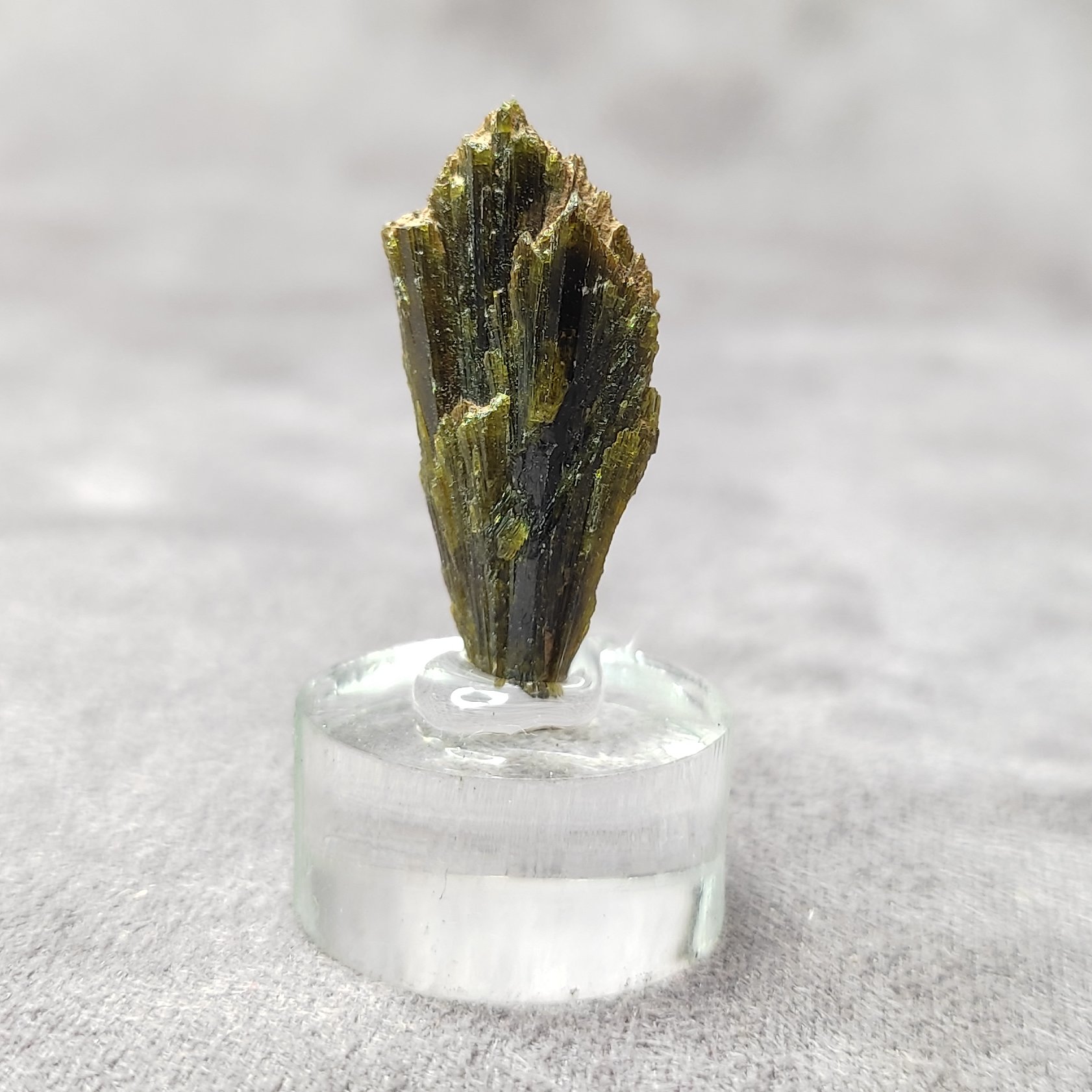 💎 راف اپیدوت جارویی 💎

