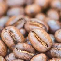 قهوه پی بی(PB)1کیلوگرم