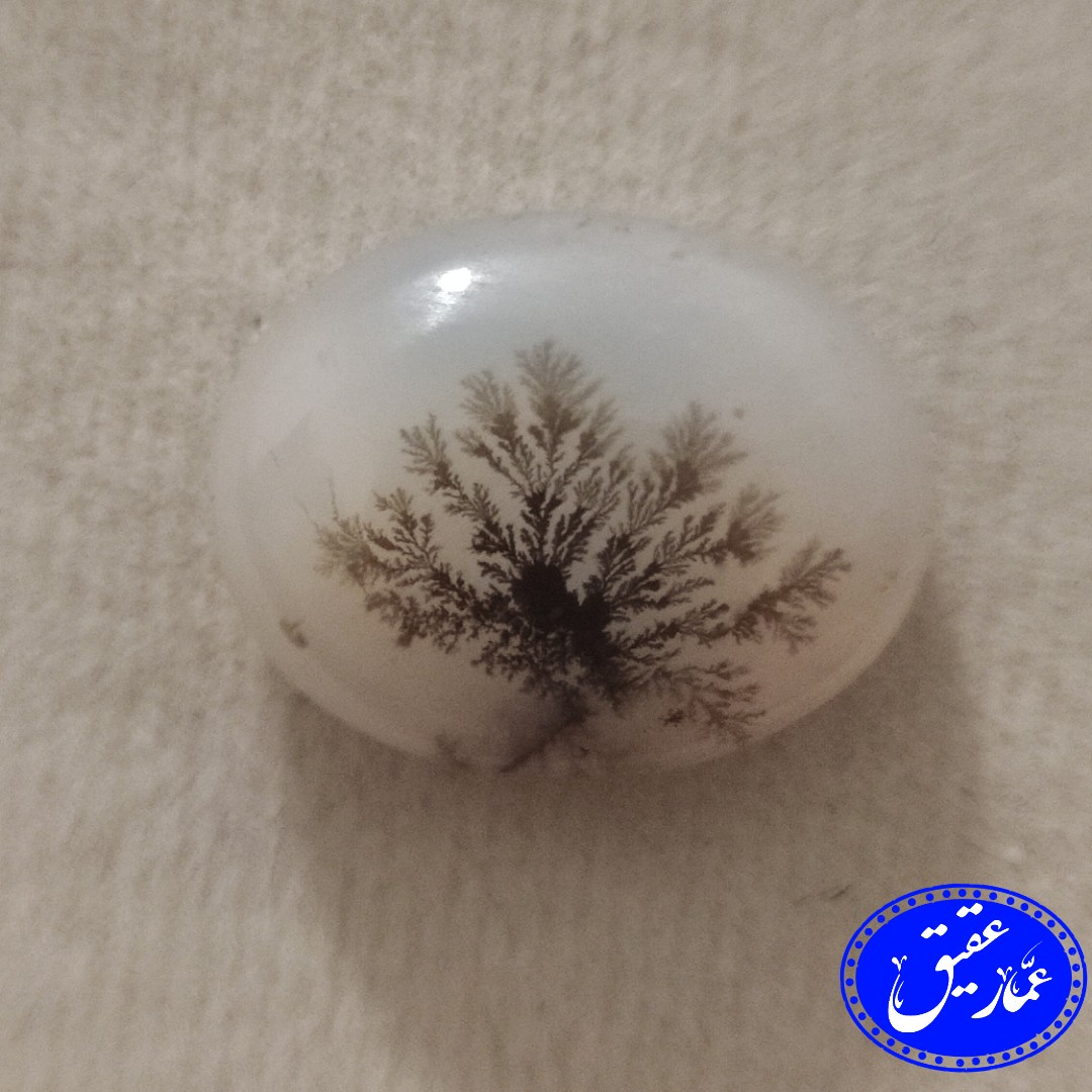 نگین عقیق شجر بوته ای درجه یک قائن با گلهای تماماً سوزنی