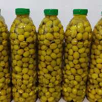 زیتون ممتاز  رودبار 800 گرمی