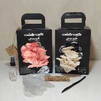 کیتهای کامل کشت قارچ صدفی  در دو رنگ سفید و صورتی دو عدد 2 کیلویی