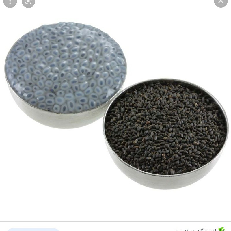 ریحان شربتی بسته بندی 200گرمی بار اعلاو تمیز