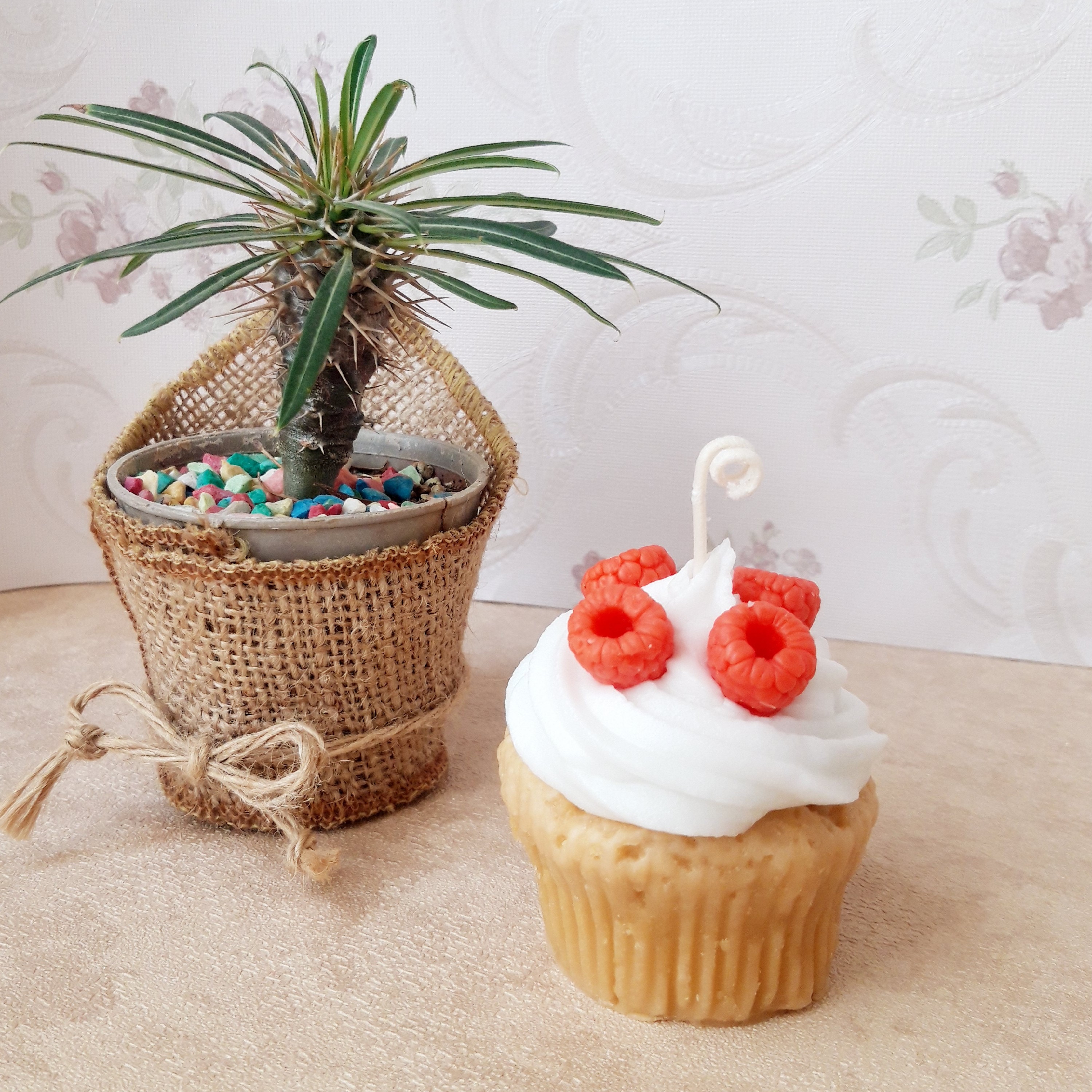 شمع  کاپ کیک یزدی