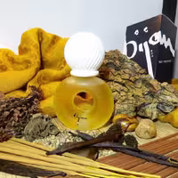 عطر ادکلن بیژن مردانه ادو تویلت

bijan MEN EDT

