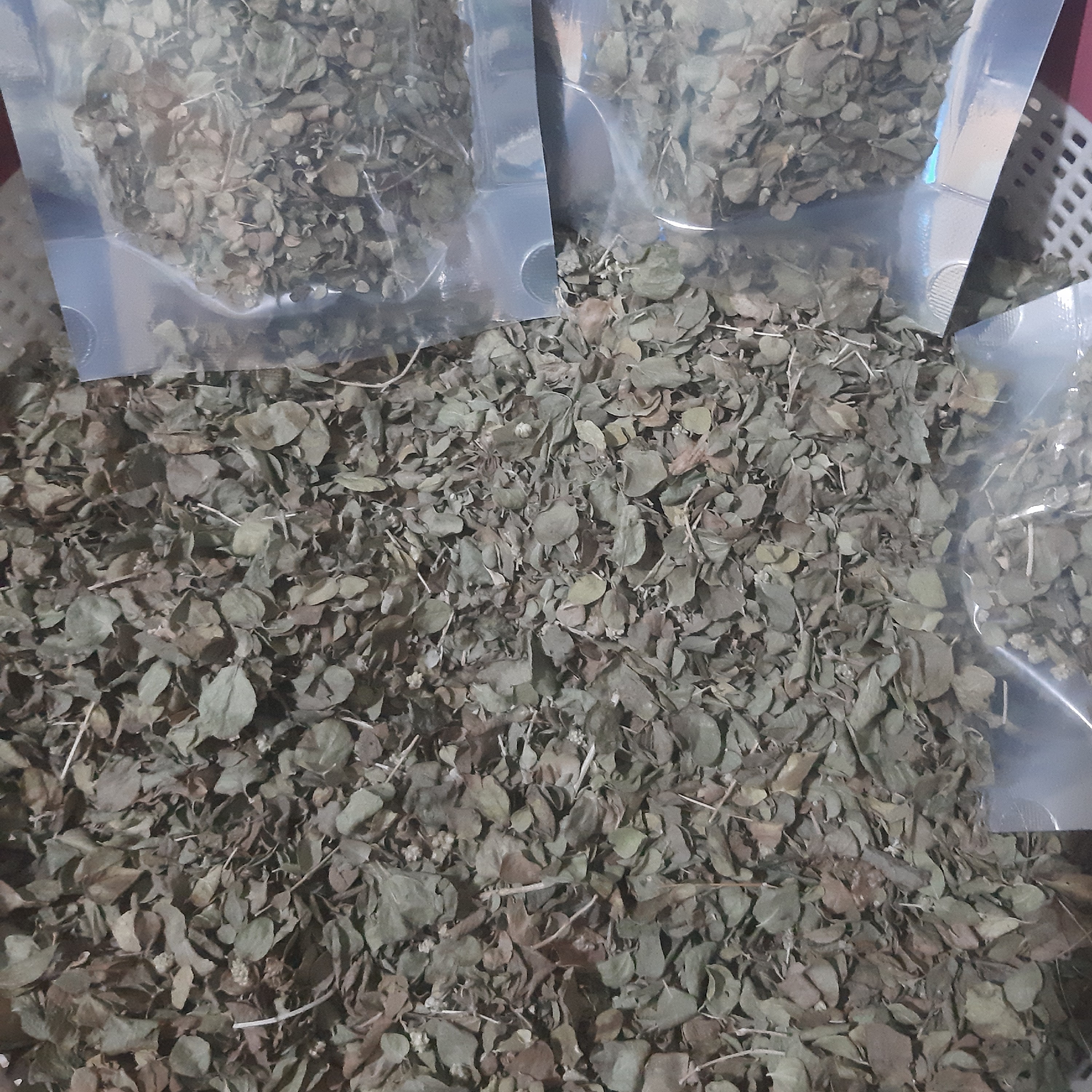 آویشن کوهی   کوهستان و طبیعت عطر و کیفیت بالا