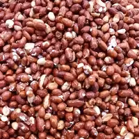 بادام زمینی شور(500گرمی)