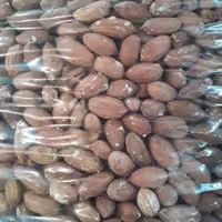 بادام زمینی ریز  اجیلی محلی استانه اشرفیه یک کیلویی 