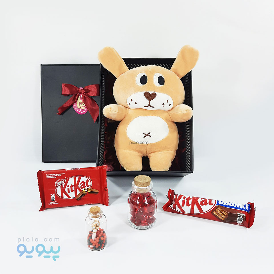 کادو بانمک ولنتاین با عروسک خرس مخملی