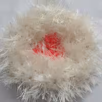 اسکاج ظرف شویی