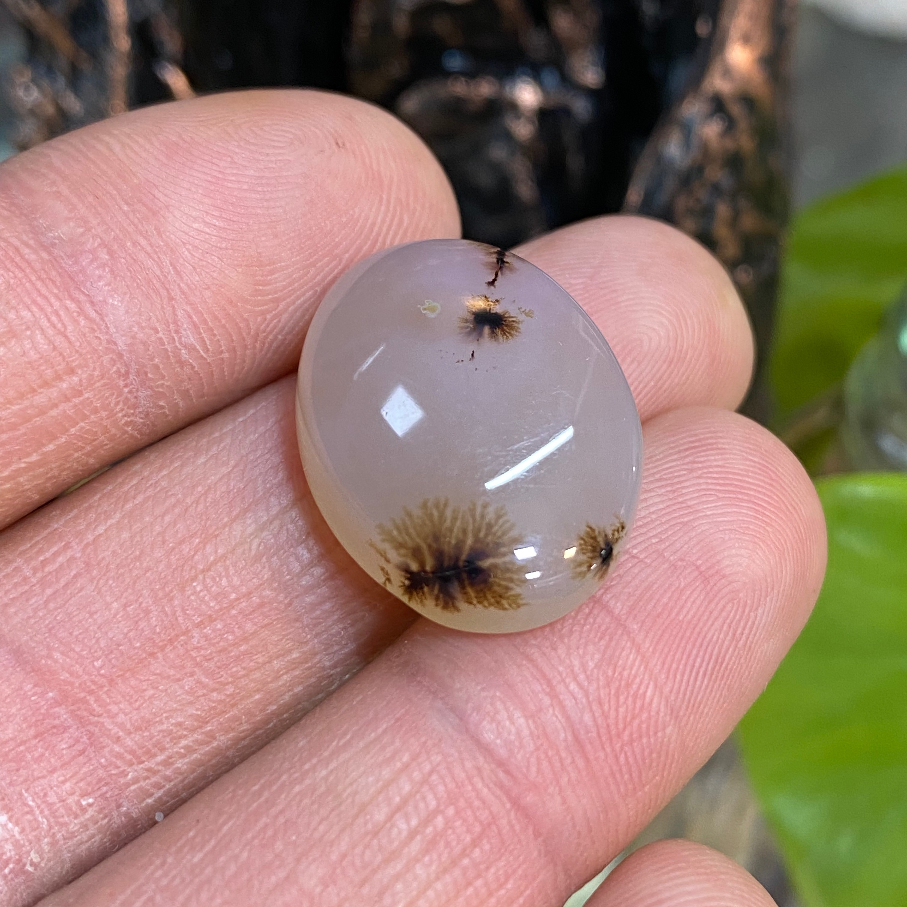 عقیق شجر قاصدکی