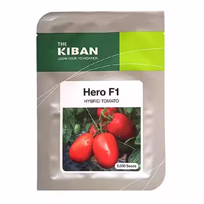 بذر گوجه فرنگی هیبرید هیرو Hero کیبان