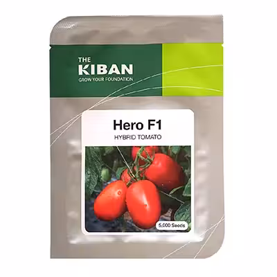 بذر گوجه فرنگی هیبرید هیرو Hero کیبان