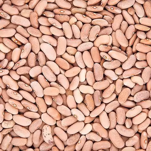 لوبیا کشاورزی اعلا 