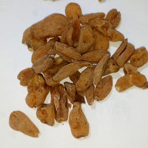 ثعلب قلوه (10 گرم)