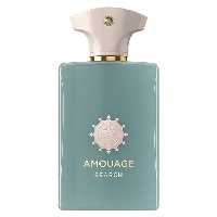 ادو پرفیوم مردانه و زنانه AMOUAGE Search  حجم 100 میلی لیتر