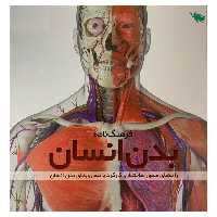 کتاب فرهنگ‌نامه بدن انسان اثر استیو پارکر نشر طلایی