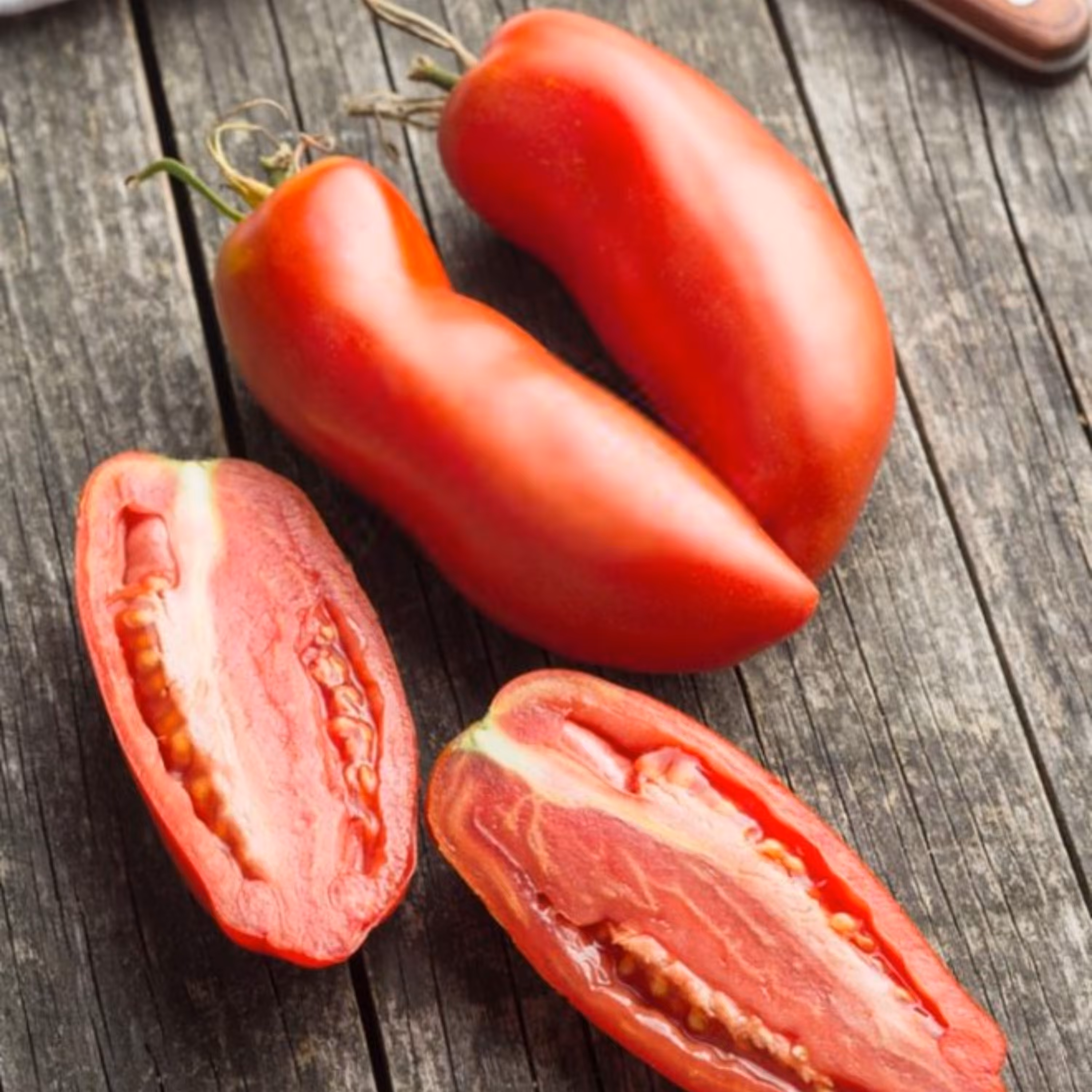 بذر گوجه فرنگی شیطان نیوجرسی 10 عددی 