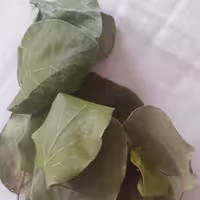 برگ به 50 گرمی با بهترین کیفیت محصولات خانگی و درجه یک شیوا 