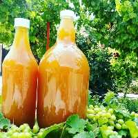 آبغوره  طبیعی شمال 1500گرمی