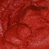 رب خانگی 