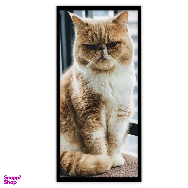 تابلو بکلیت طرح حیات وحش گربه خانگی مدل B-S3366