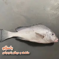 ماهی خنو تازه و صید روز (1 کیلوگرم) 