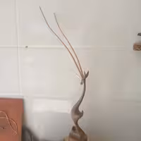 غزال منبت سه شاخ