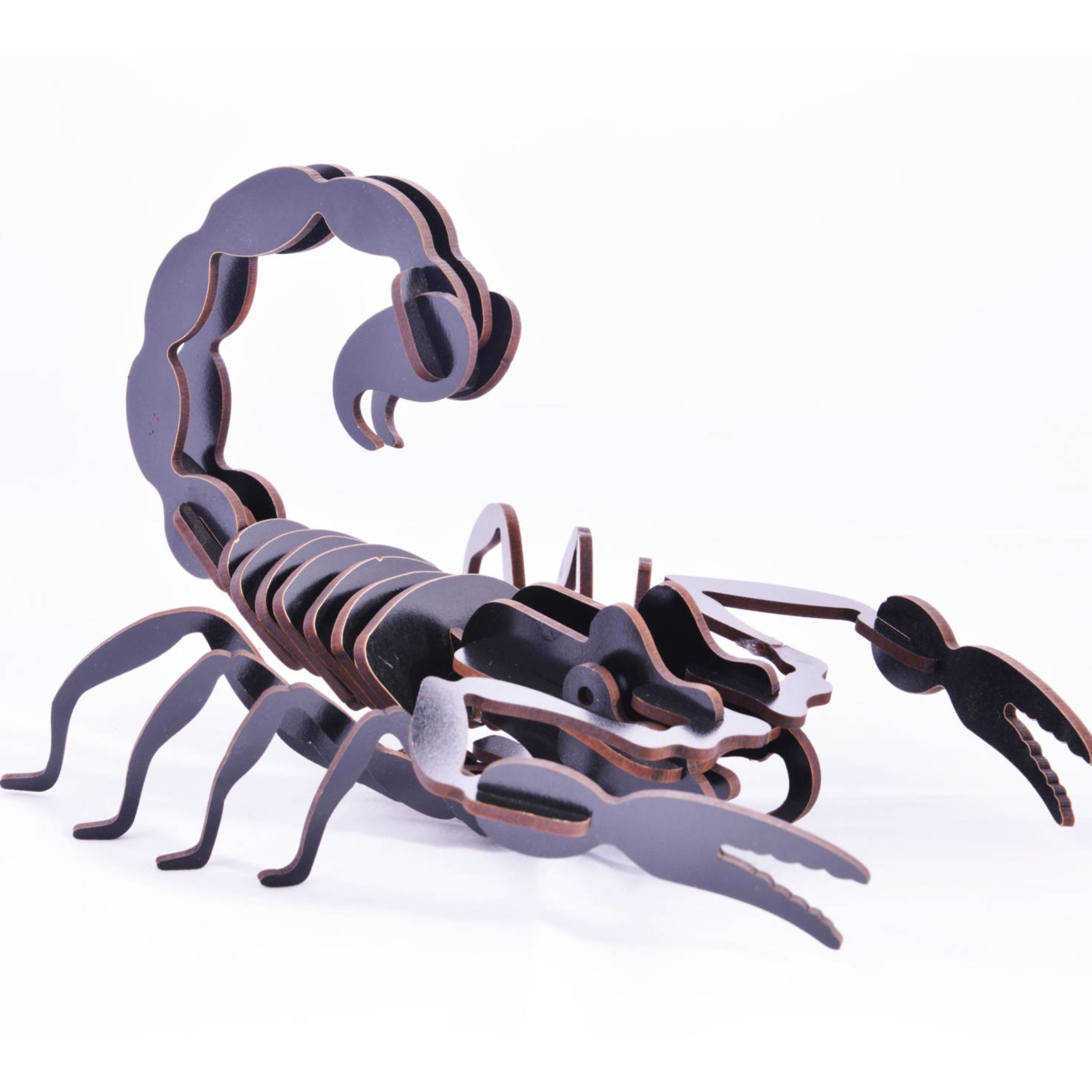 012323-پازل سه بعدی عقرب آبان مناسب فصل مدرسه برای دانش آموزان-2010023