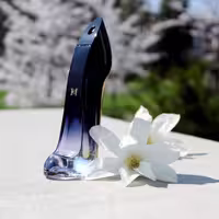 عطر ادکلن گودگرل  مشکی مناسب بانوان مناسب فصول سرد طبع گرم تلخ 