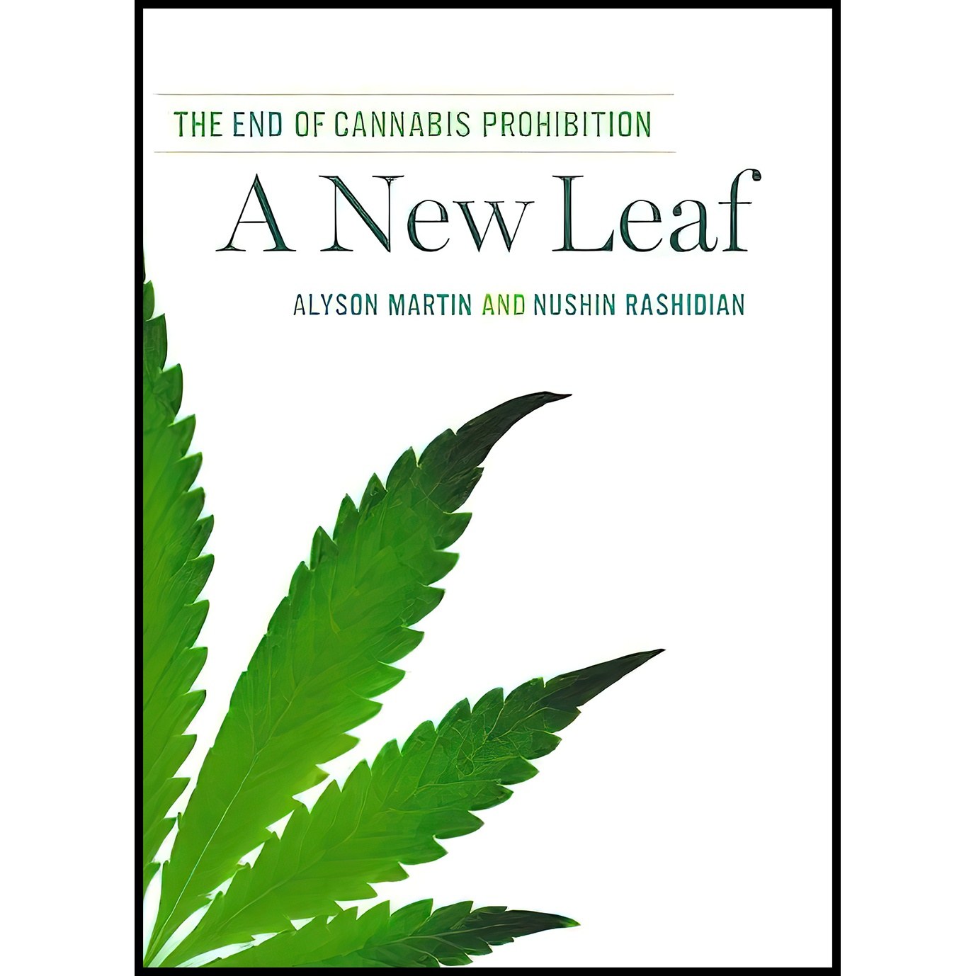 کتاب زبان اصلی A New Leaf اثر Alyson Martin and Nushin Rashidian