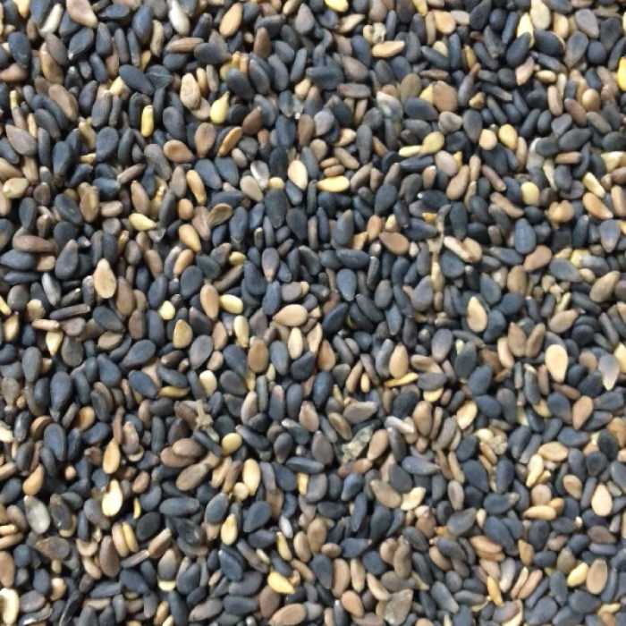 کنجد سیاه 10کیلوگرم (توزیع کنندگان)
