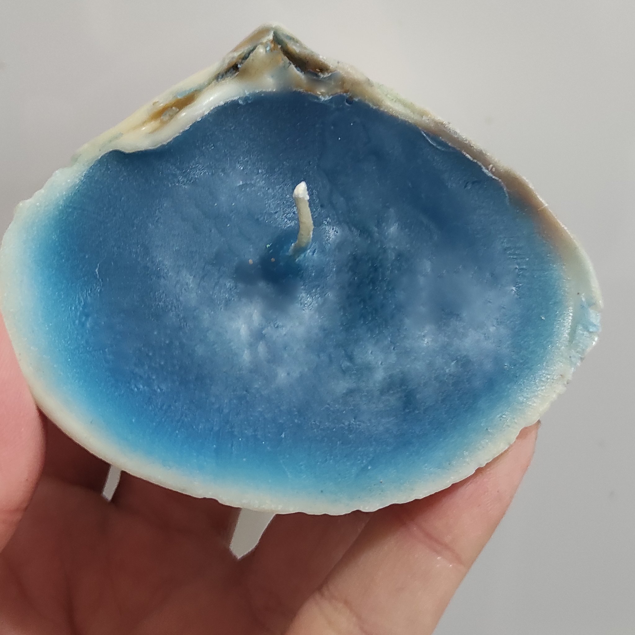 شمع داخل صدف طبیعی، مناسب برای تزیین منزل