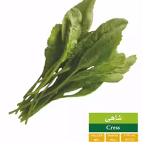 بذر شاهی بذر طلایی رویان