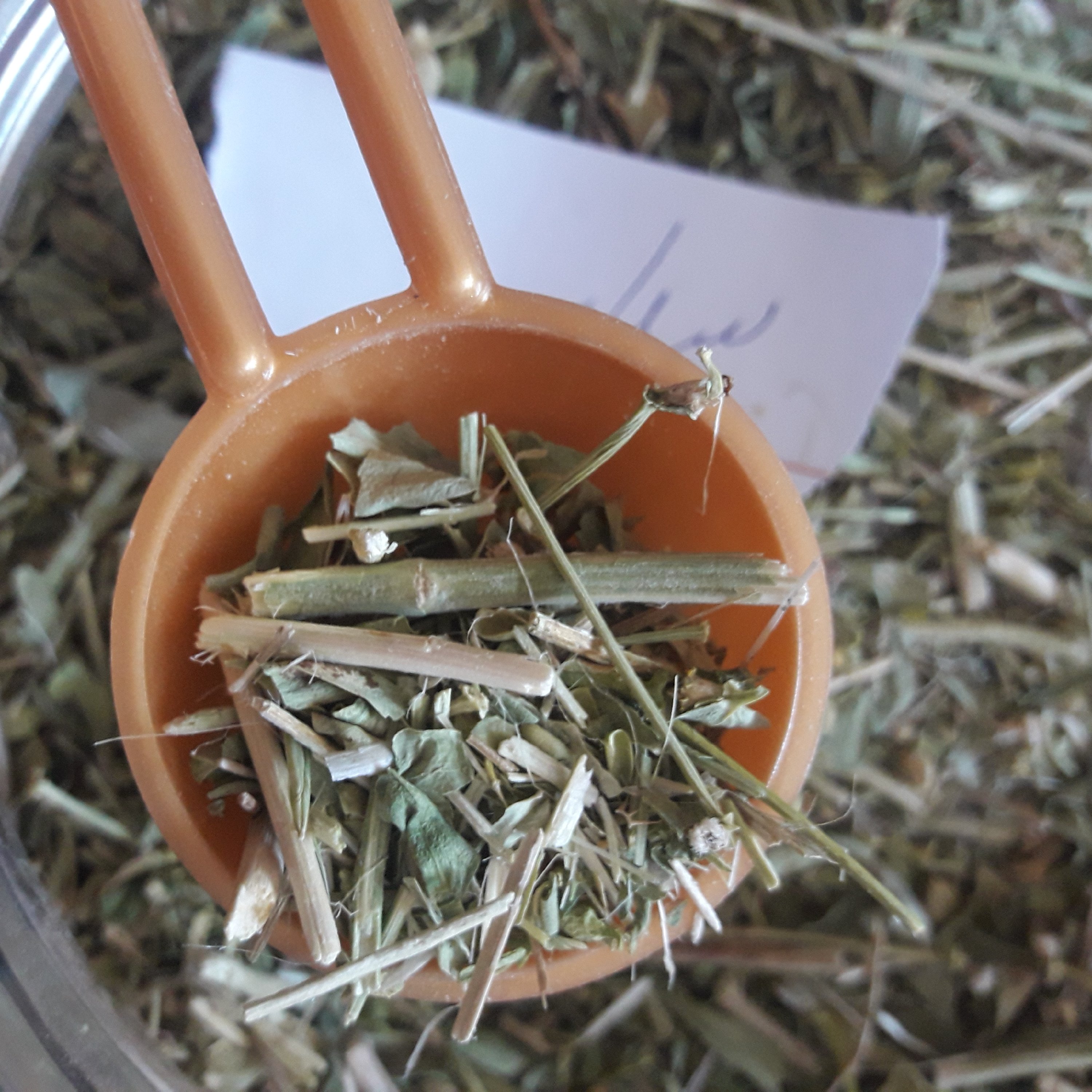 گیاه سداب خشک شده (بسته 100 گرمی)