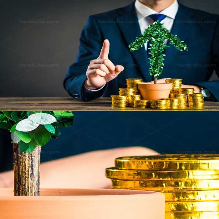 عکس مفهومی با کیفیت پول و سود در استارتاپ - گرافیک با طعم تربچه