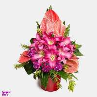 سبد گل طبیعی سطلی سایز بزرگ