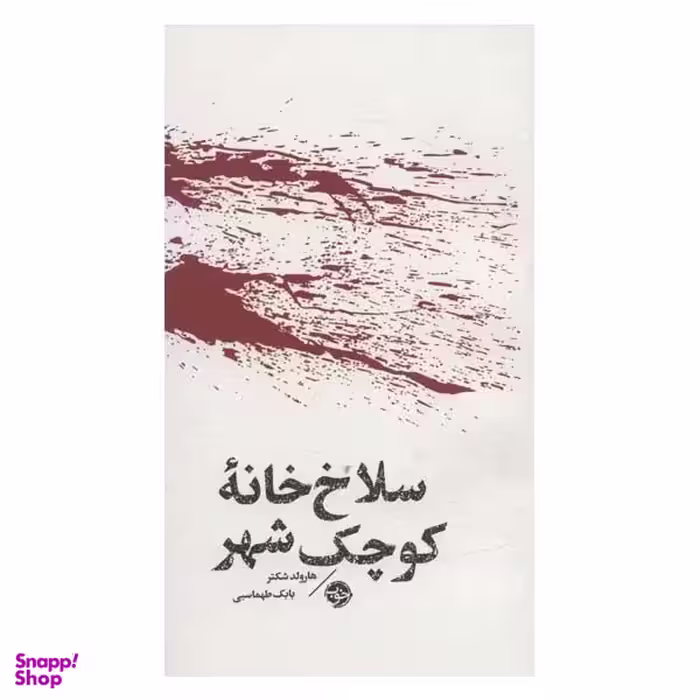کتاب سلاخ خانه کوچک شهر اثر هارولد شکتر نشر خوب