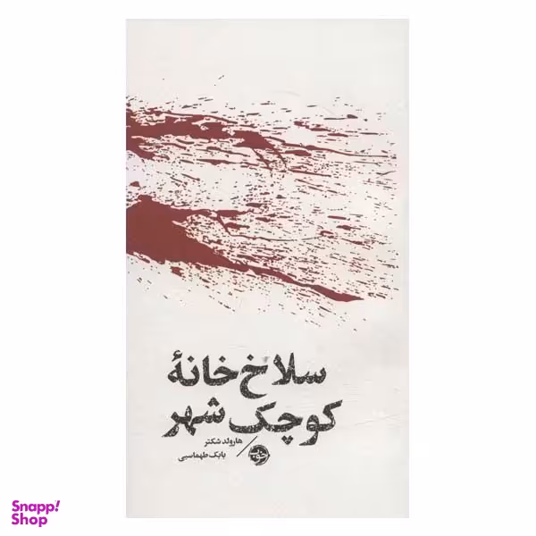 کتاب سلاخ خانه کوچک شهر اثر هارولد شکتر نشر خوب