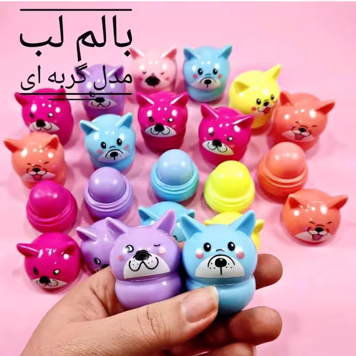 بالم لب 