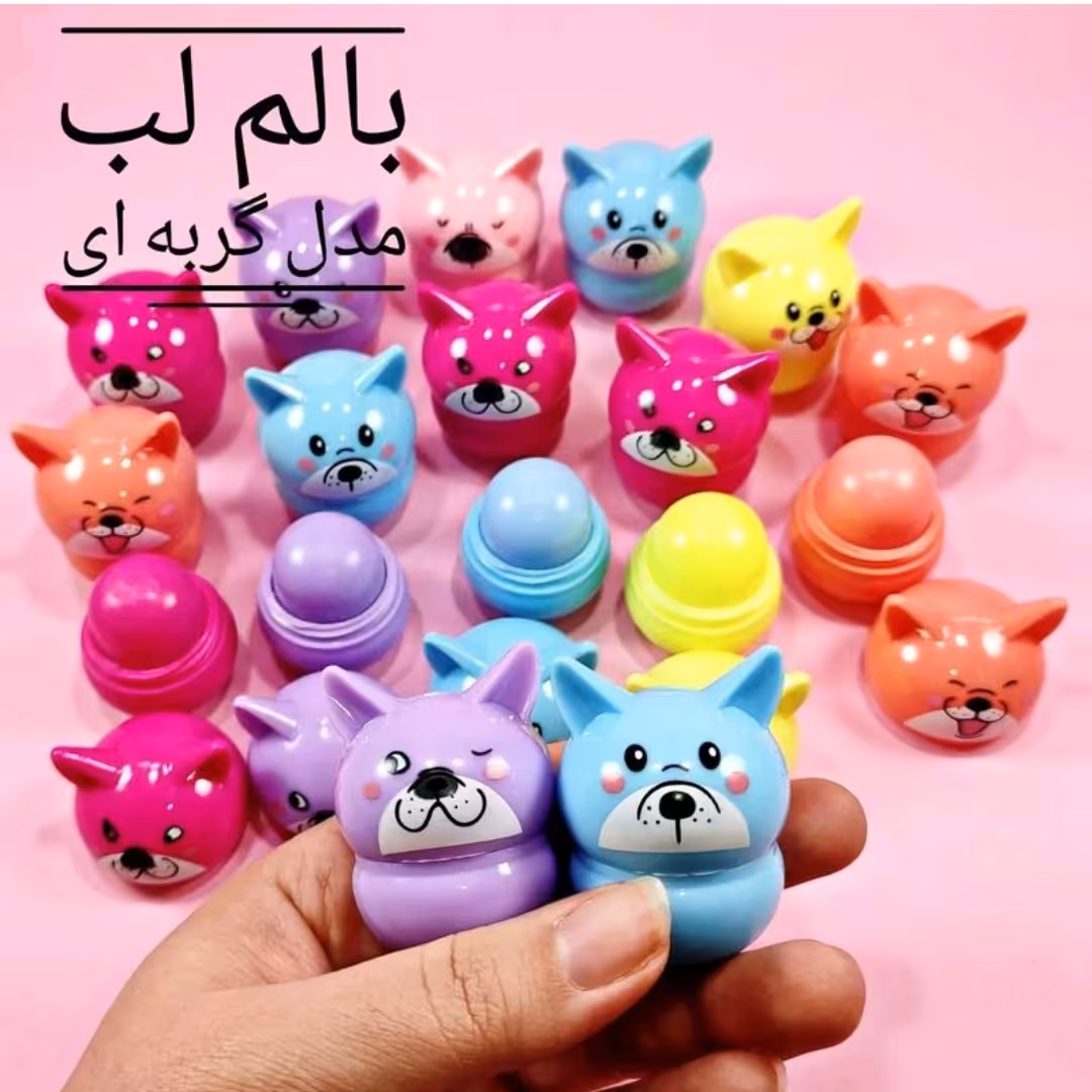 بالم لب 