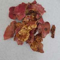 پوست انار خشک(40کیلویی)