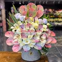 باکس گل دلسا